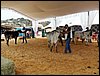 P9060006.JPG