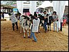 P9060007.JPG