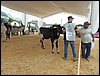 P9060016.JPG