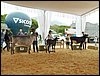 P9060017.JPG