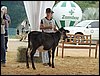P9060019.JPG