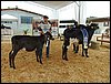 P9060028.JPG