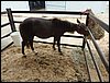 P9060046.JPG
