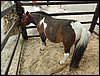 P9060052.JPG