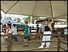 P9060060.JPG