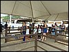 P9060061.JPG