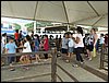 P9060063.JPG