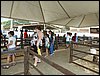 P9060064.JPG
