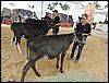 P9060067.JPG