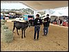 P9060068.JPG
