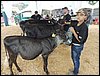 P9060071.JPG