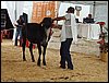 P9060076.JPG