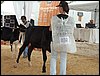 P9060077.JPG