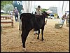 P9060083.JPG