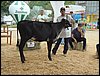 P9060084.JPG