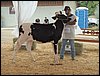 P9060086.JPG