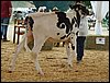 P9060091.JPG
