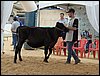 P9060094.JPG
