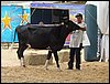 P9060096.JPG