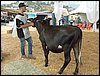 P9060099.JPG