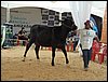 P9060105.JPG