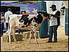 P9060109.JPG
