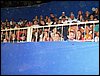 100_6339.JPG