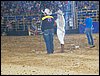 100_6344.JPG