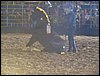 100_6354.JPG