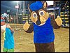 100_6356.JPG