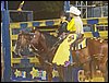 100_6361.JPG