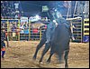 100_6377.JPG