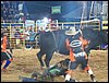 100_6378.JPG