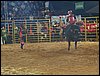 100_6381.JPG