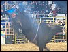 100_6391.JPG