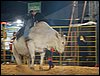 100_6394.JPG