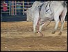 100_6395.JPG
