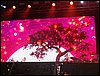 100_6609.JPG