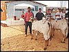 100_6194.JPG