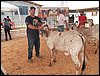 100_6196.JPG
