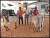 100_6198.JPG