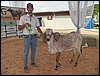 100_6199.JPG