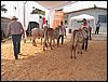 100_6204.JPG