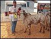 100_6207.JPG