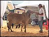 100_6211.JPG