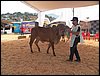 100_6214.JPG