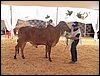 100_6215.JPG