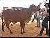 100_6217.JPG