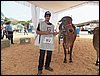 100_6219.JPG