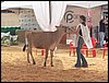 100_6220.JPG